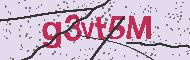 Captcha認証コード